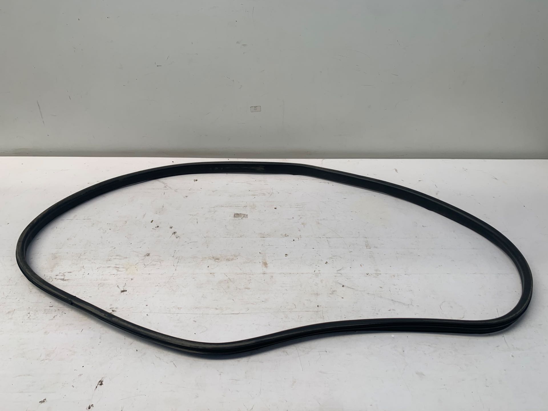 Borracha Porta Dianteira Direita Renault Logan 2019 2024