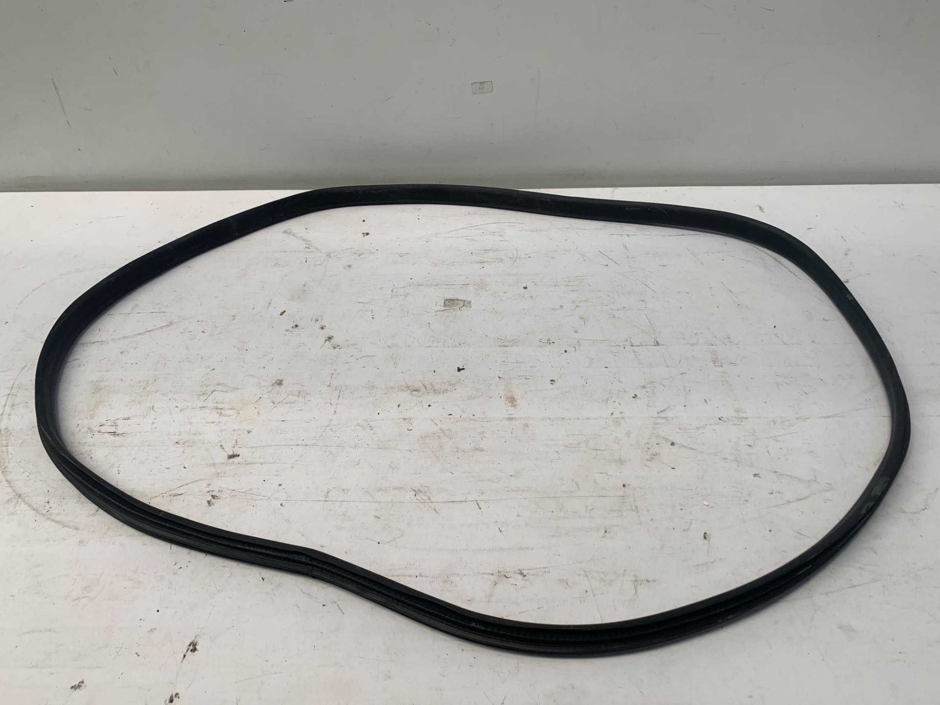 Borracha Porta Traseira Esquerda Renault Logan 2019 2024