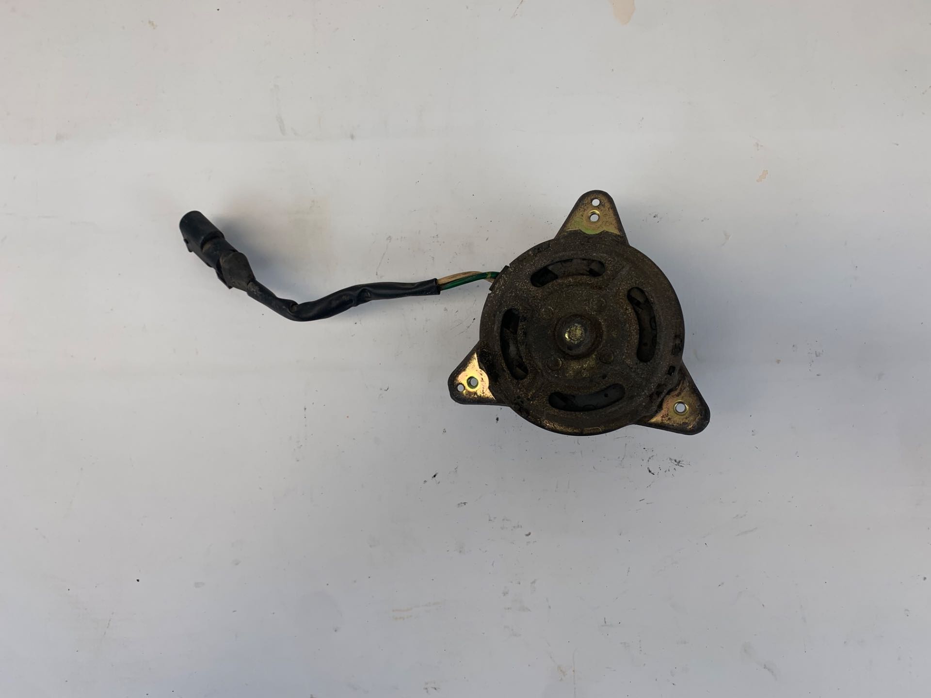 Motor Ventoinha Peugeot 206 1.6 8v 1999 2001