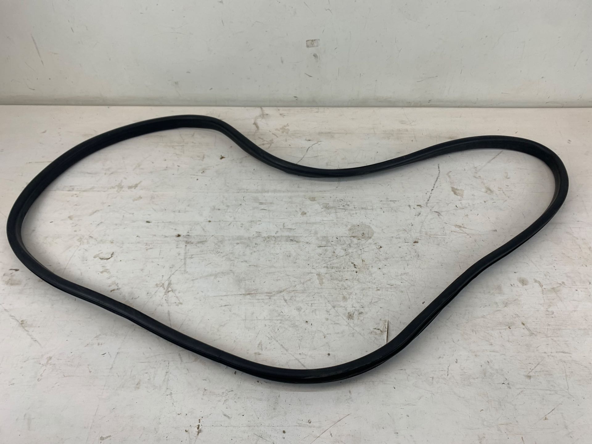 Borracha Porta Traseira Direita Renault Sandero 2014 2019